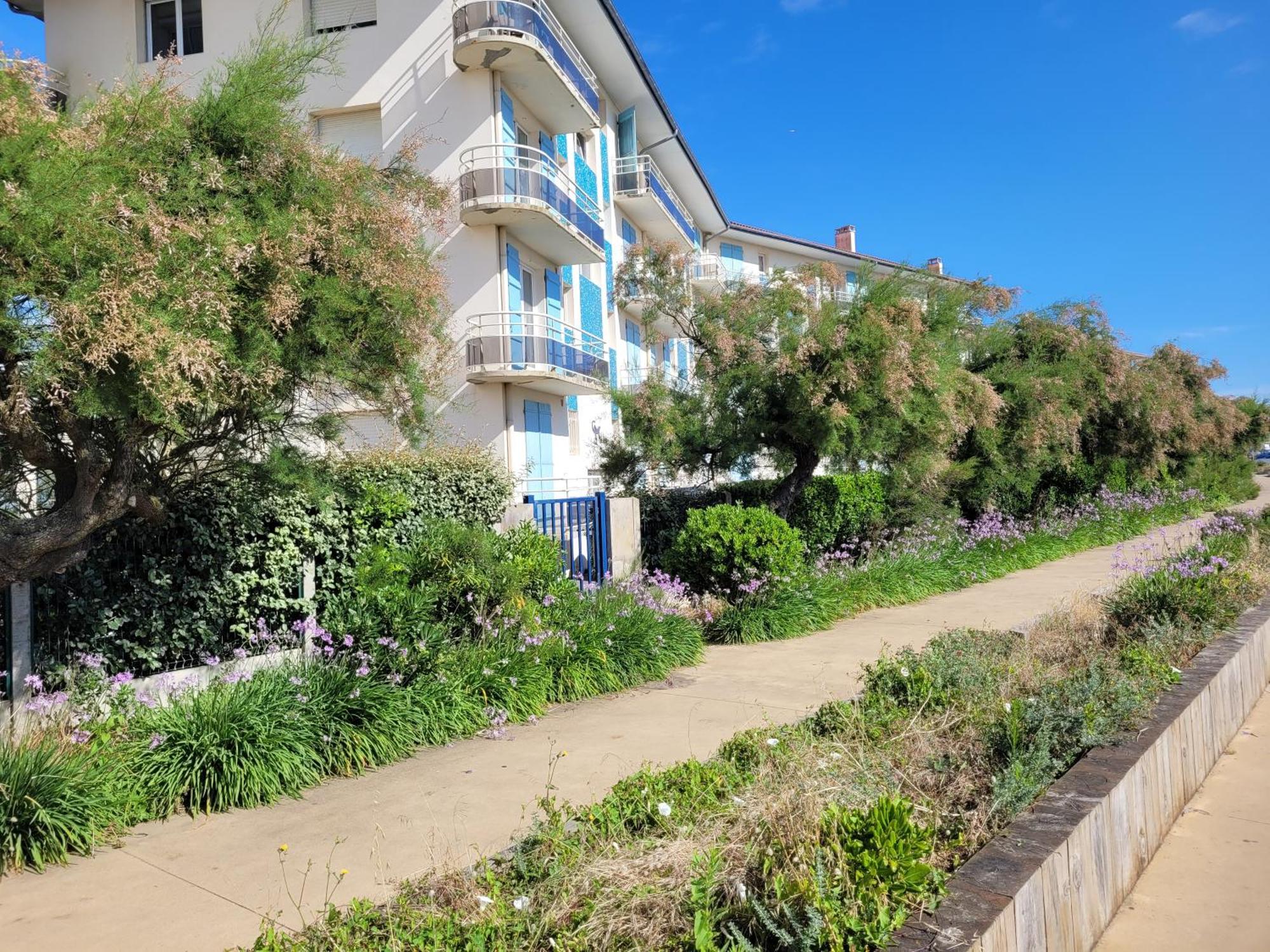 Sable - Appartement Renove Pour 4 Personnes Soorts-Hossegor Eksteriør bilde